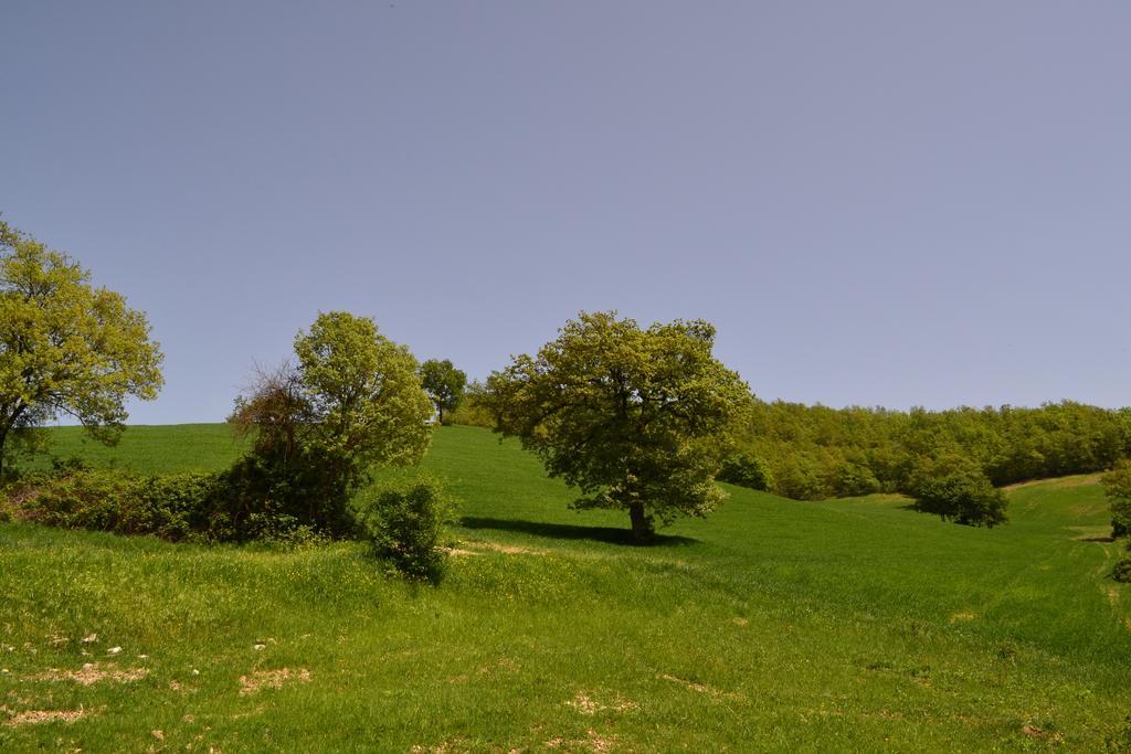 Agriturismo Marano Mengara 外观 照片